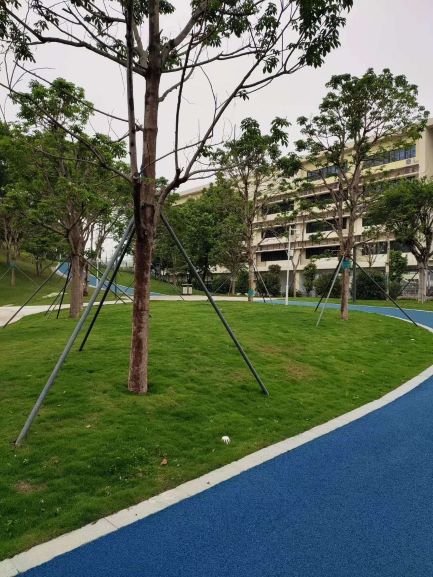 彩色沥青混凝土路面